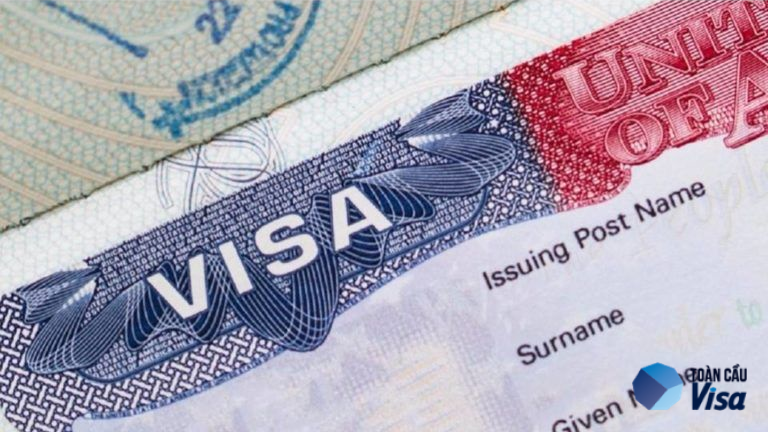 Visa K-1
