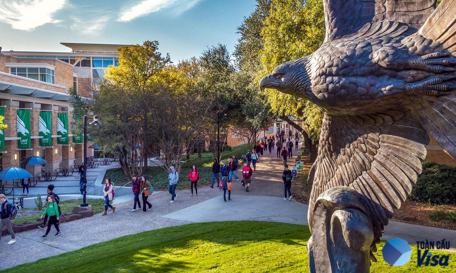 Texas là nơi tập trung nhiều trường đại học danh tiếng