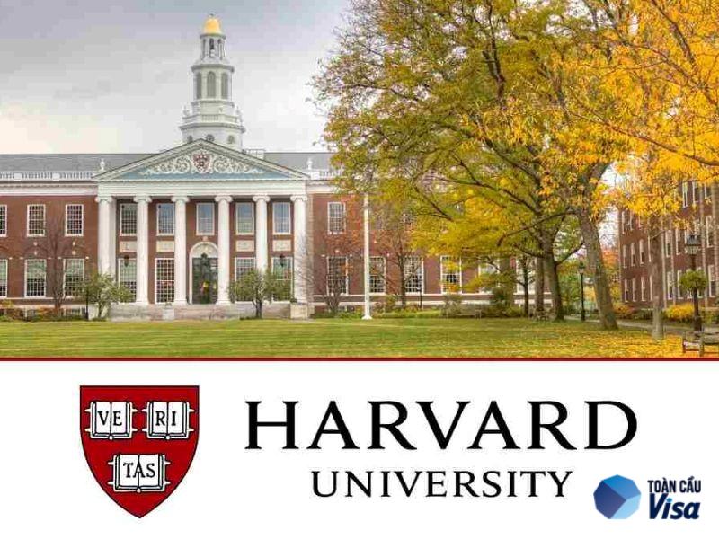 Trường đại học Harvard nổi tiếng với khoa y, khoa luật